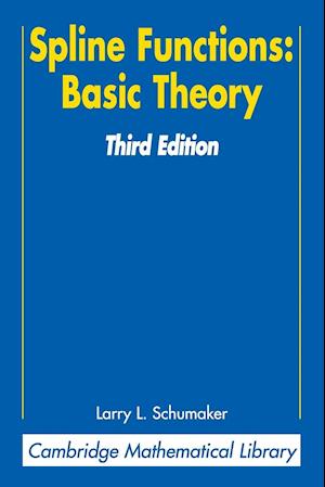 Spline Functions: Basic Theory