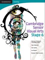 Cambridge Senior Visual Arts with Student CD-ROM