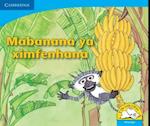 Mabanana ya ximfenhana (Xitsonga)