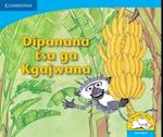 Dipanana tsa ga Kgajwana (Setswana)