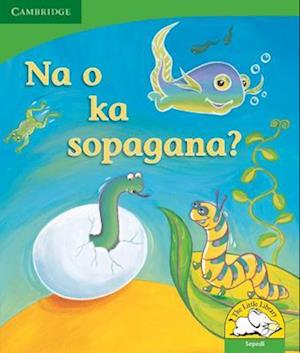 Na o ka sopagana? (Sepedi)