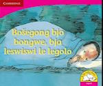 Bosegong bjo bongwe, bja leswiswi le legolo (Sepedi)