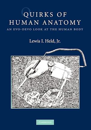 Quirks of Human Anatomy
