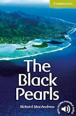 The Black Pearls Starter/Beginner