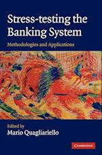 Stress-Testing the Banking System