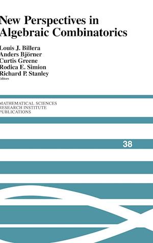 New Perspectives in Algebraic Combinatorics