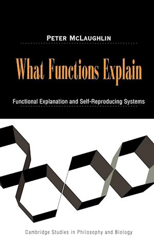 What Functions Explain