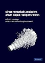 Direct Numerical Simulations of Gas–Liquid Multiphase Flows