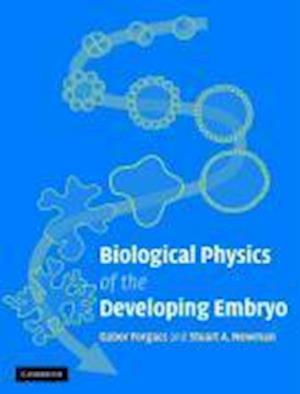 Biological Physics of the Developing Embryo