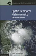 Spatio-Temporal Heterogeneity