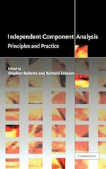 Independent Component Analysis