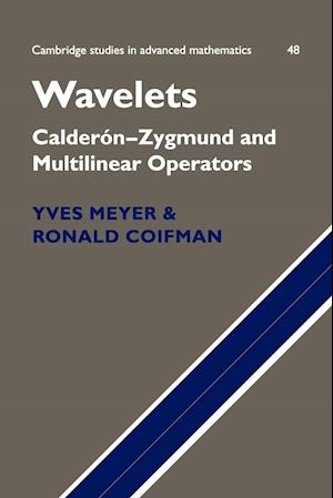 Wavelets