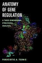 Anatomy of Gene Regulation