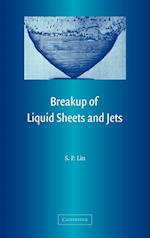 Breakup of Liquid Sheets and Jets