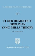 Floer Homology Groups in Yang-Mills Theory