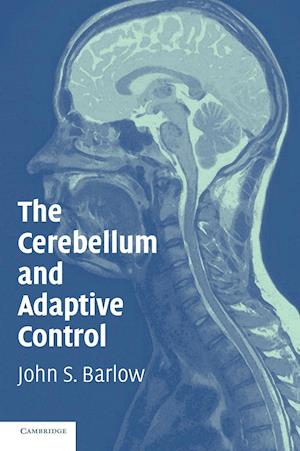 The Cerebellum and Adaptive Control