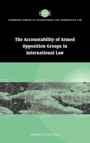 Accountability of Armed Opposition Groups in International Law