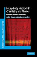 Many-Body Methods in Chemistry and Physics