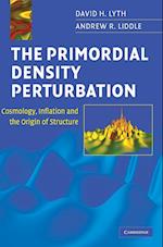 The Primordial Density Perturbation