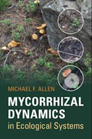 Mycorrhizal Dynamics in Ecological Systems