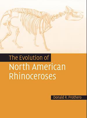 The Evolution of North American Rhinoceroses