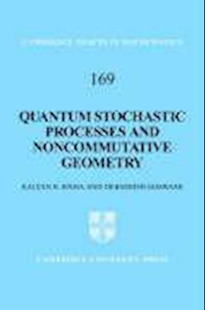 Quantum Stochastic Processes and Noncommutative Geometry