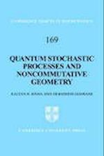Quantum Stochastic Processes and Noncommutative Geometry
