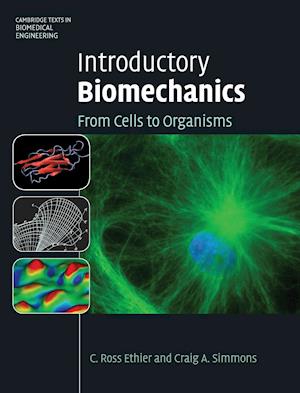 Introductory Biomechanics