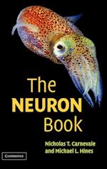 The NEURON Book