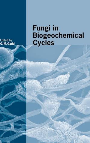 Fungi in Biogeochemical Cycles