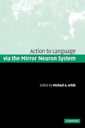 Action to Language via the Mirror Neuron System