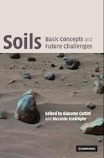 Soils: Basic Concepts and Future Challenges