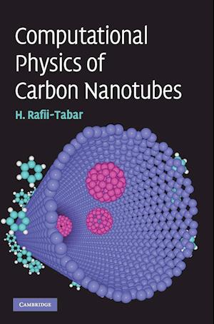 Computational Physics of Carbon Nanotubes