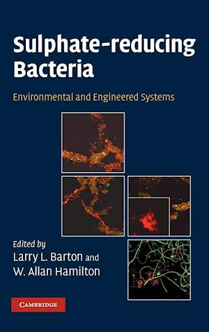 Sulphate-Reducing Bacteria