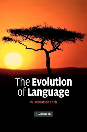 The Evolution of Language