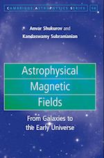 Astrophysical Magnetic Fields