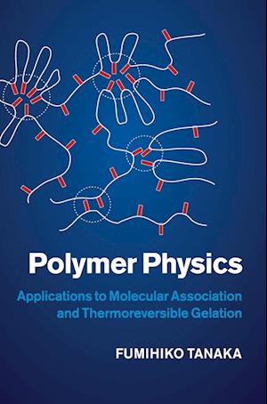 Polymer Physics