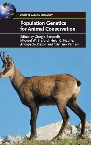 Population Genetics for Animal Conservation