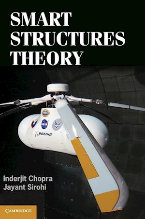 Smart Structures Theory