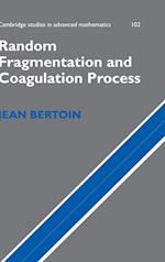 Random Fragmentation and Coagulation Processes