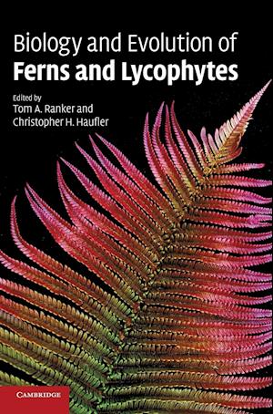 Biology and Evolution of Ferns and Lycophytes