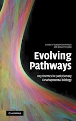 Evolving Pathways