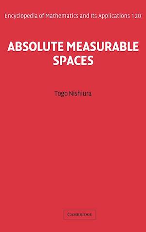 Absolute Measurable Spaces