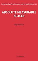 Absolute Measurable Spaces