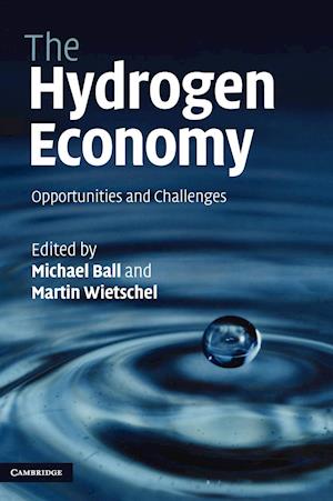 The Hydrogen Economy