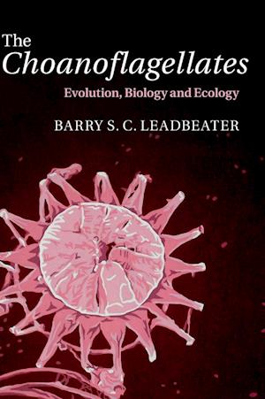 The Choanoflagellates