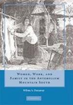 Women, Work and Family in the Antebellum Mountain South