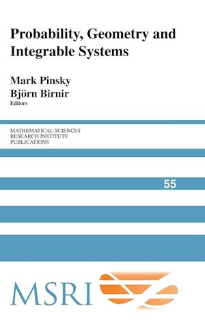Probability, Geometry and Integrable Systems