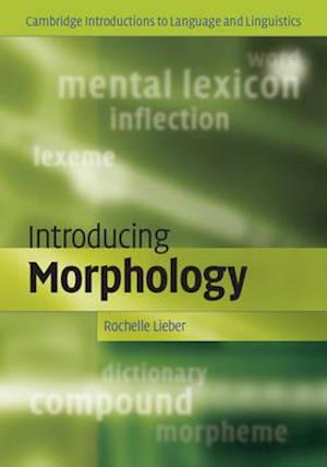 Introducing Morphology