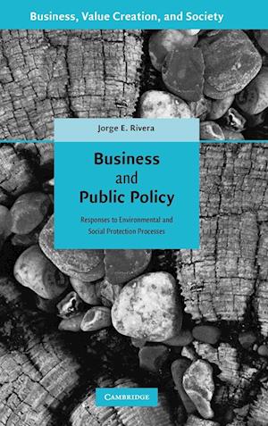 Business and Public Policy